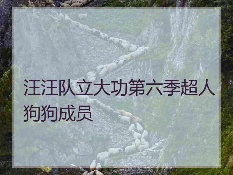 汪汪队立大功第六季超人狗狗成员