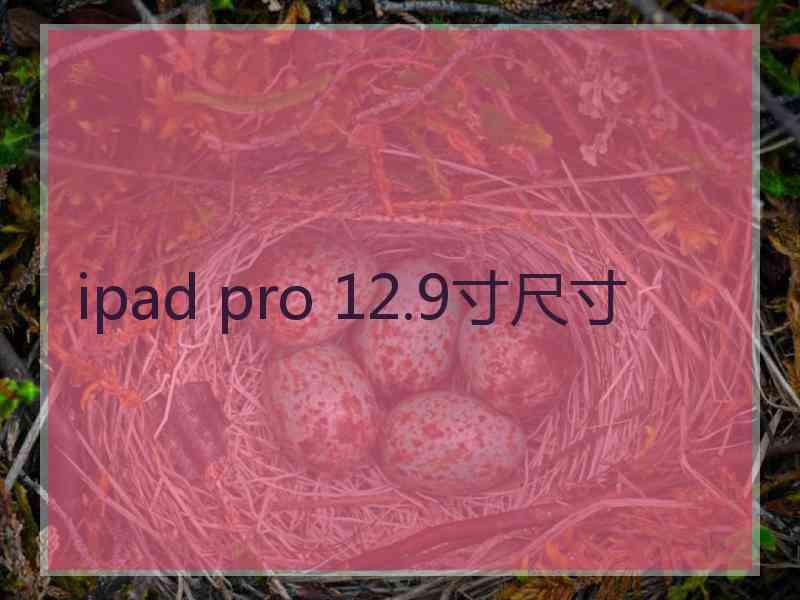 ipad pro 12.9寸尺寸