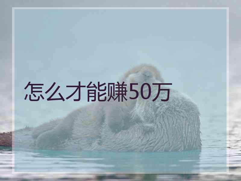 怎么才能赚50万