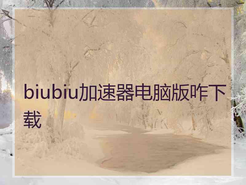 biubiu加速器电脑版咋下载