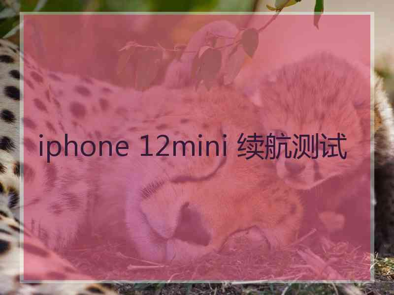 iphone 12mini 续航测试