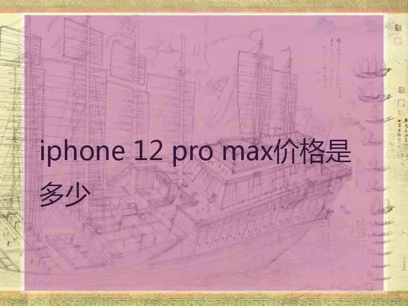 iphone 12 pro max价格是多少