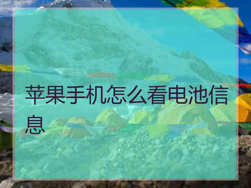 苹果手机怎么看电池信息