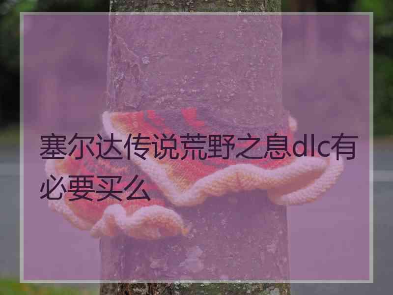 塞尔达传说荒野之息dlc有必要买么