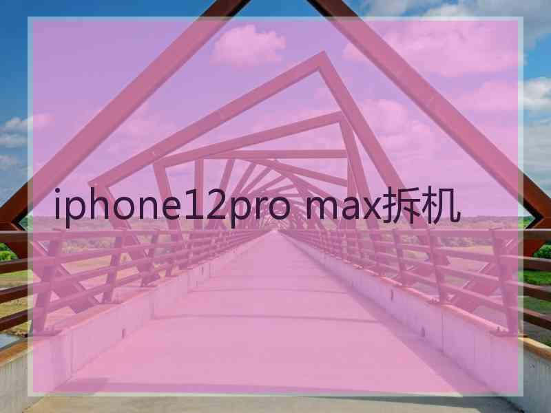 iphone12pro max拆机