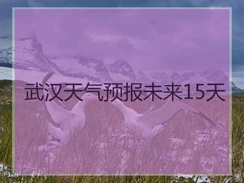 武汉天气预报未来15天