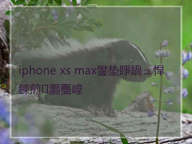 iphone xs max鐢垫睜鍋ュ悍鍊煎灏戞崲