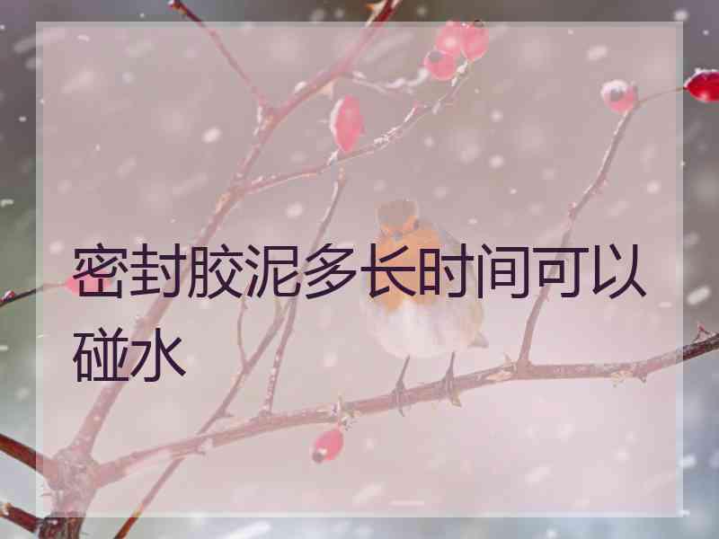 密封胶泥多长时间可以碰水