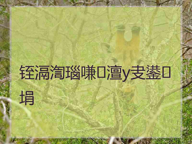 铚滆渹瑙嗛澶у叏鍙埍