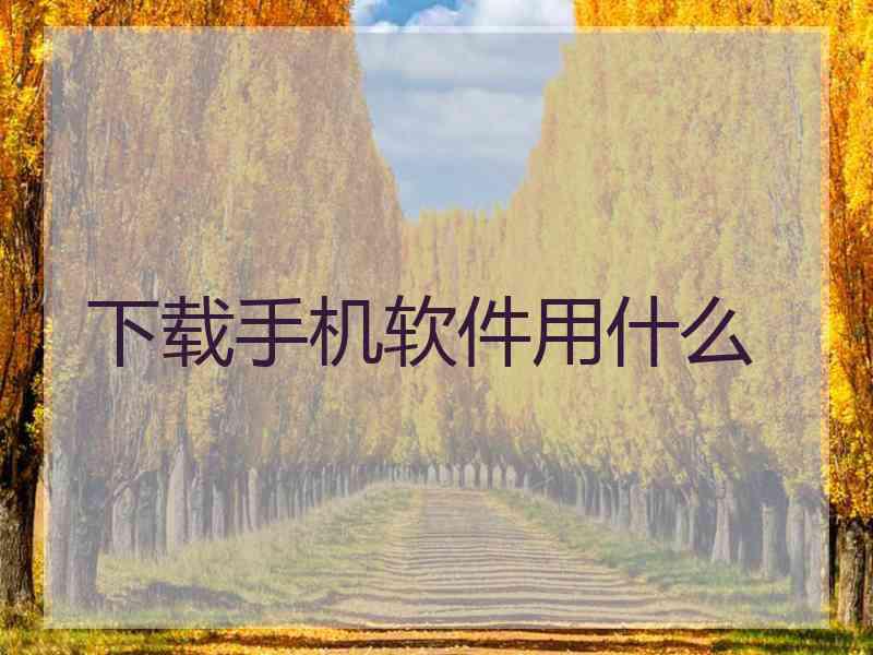 下载手机软件用什么