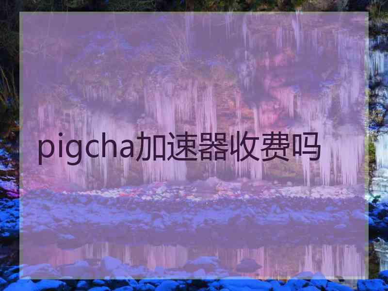 pigcha加速器收费吗