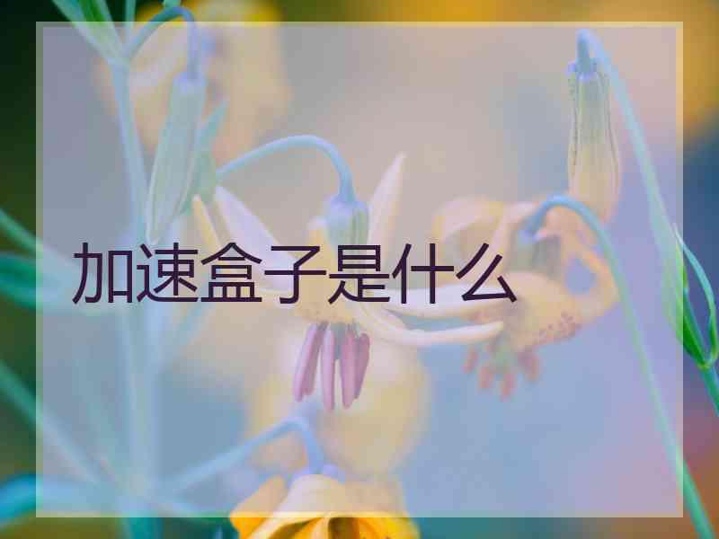 加速盒子是什么