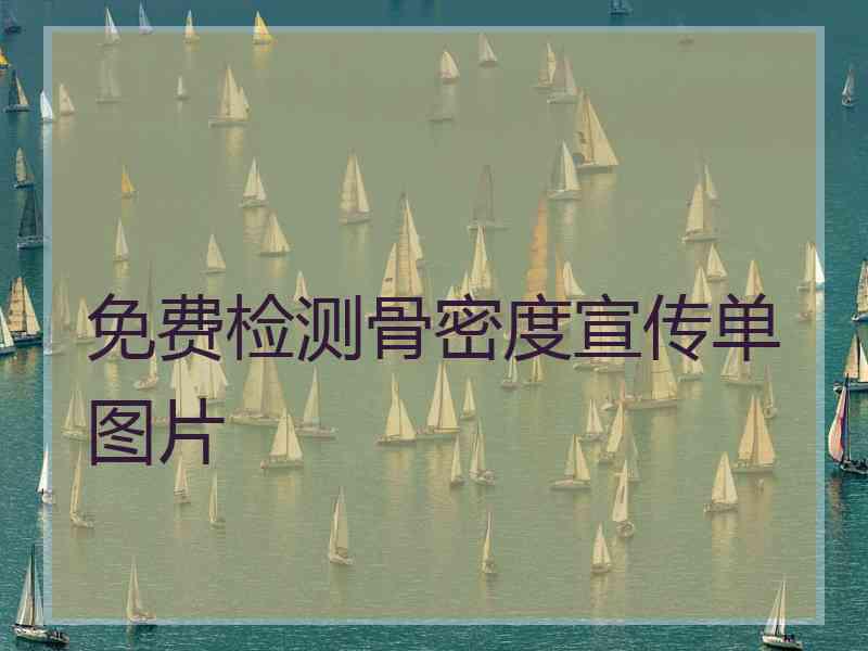 免费检测骨密度宣传单图片