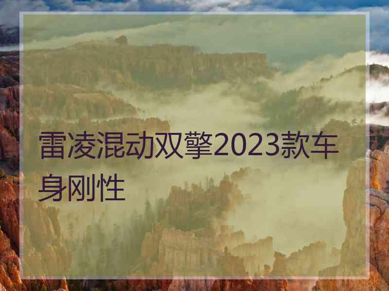 雷凌混动双擎2023款车身刚性