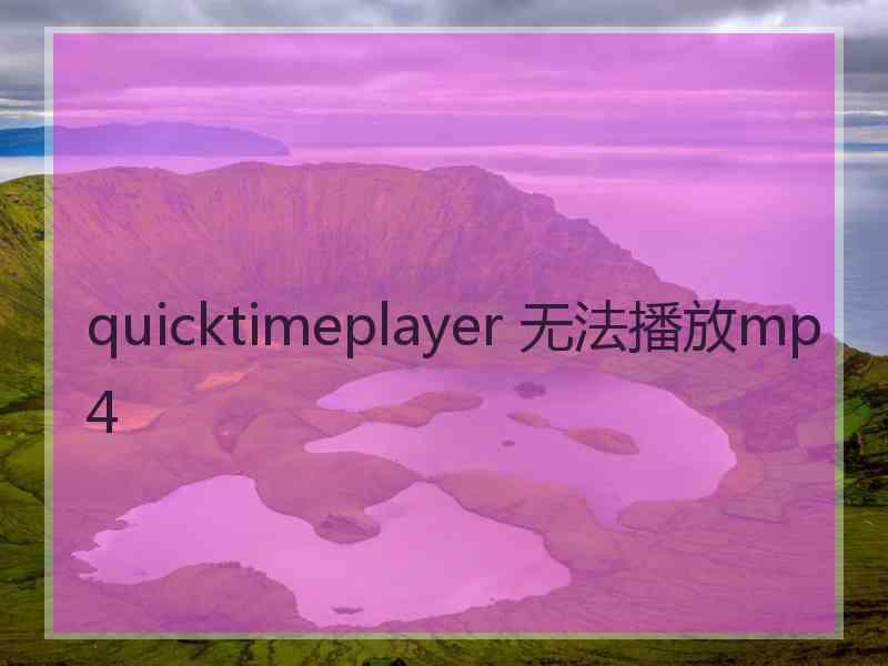 quicktimeplayer 无法播放mp4