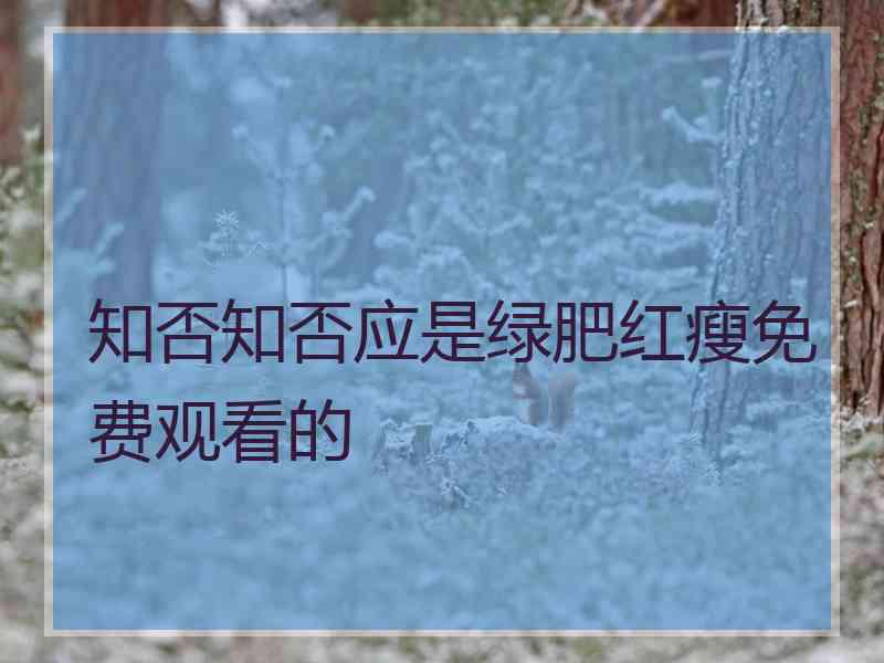 知否知否应是绿肥红瘦免费观看的