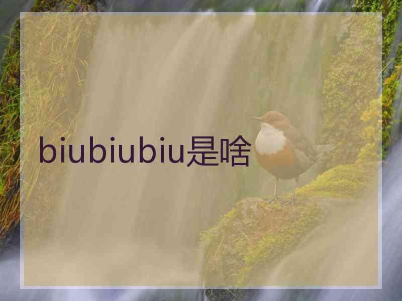 biubiubiu是啥