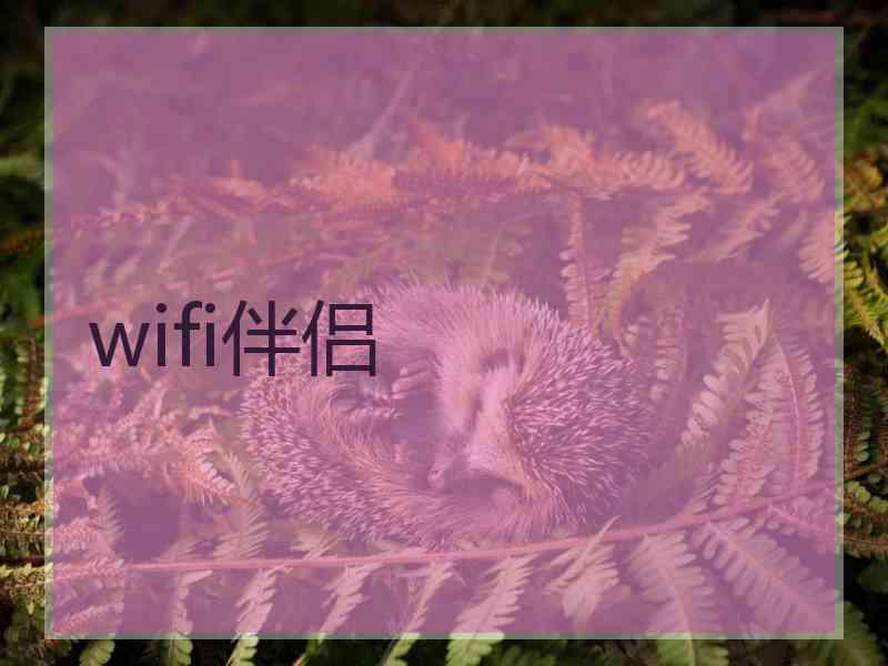 wifi伴侣