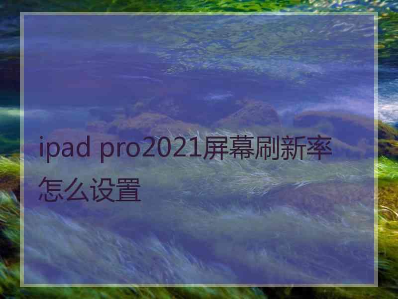 ipad pro2021屏幕刷新率怎么设置