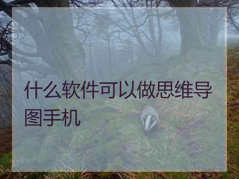 什么软件可以做思维导图手机