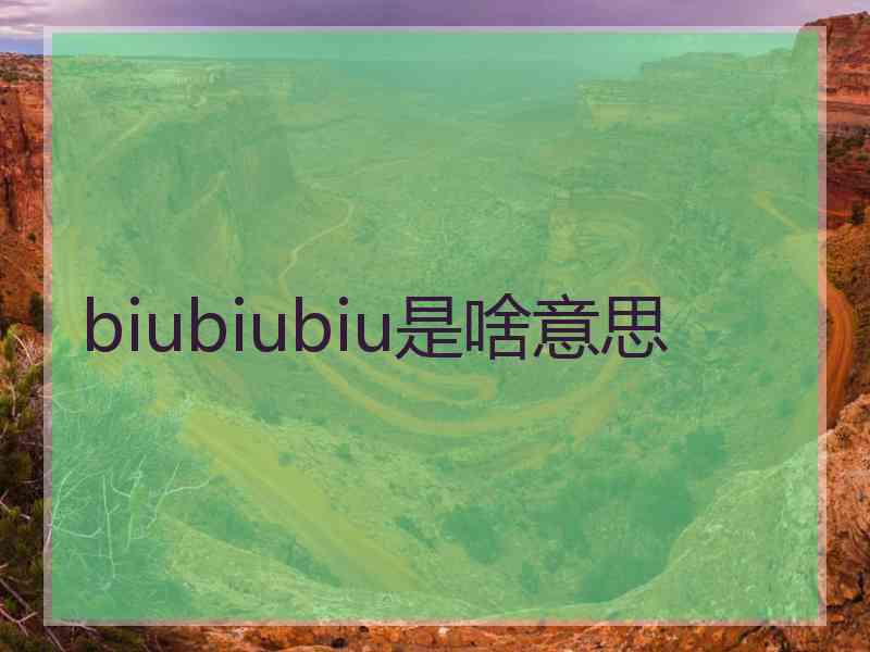 biubiubiu是啥意思