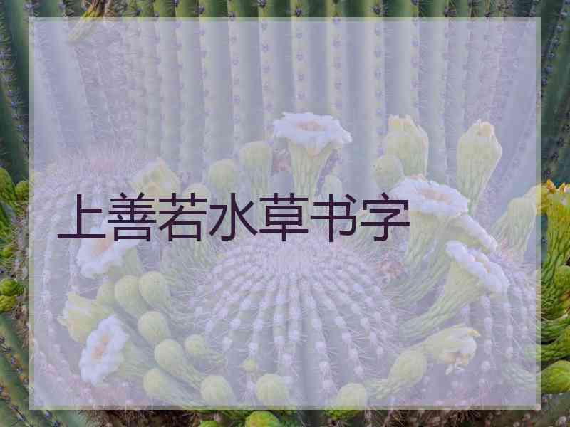 上善若水草书字