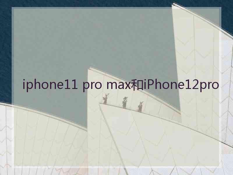 iphone11 pro max和iPhone12pro