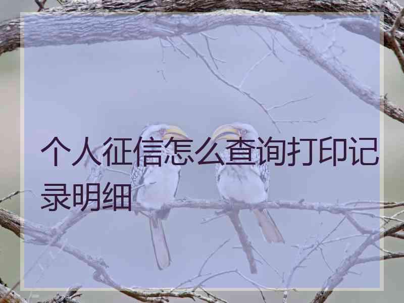 个人征信怎么查询打印记录明细