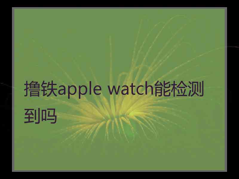 撸铁apple watch能检测到吗