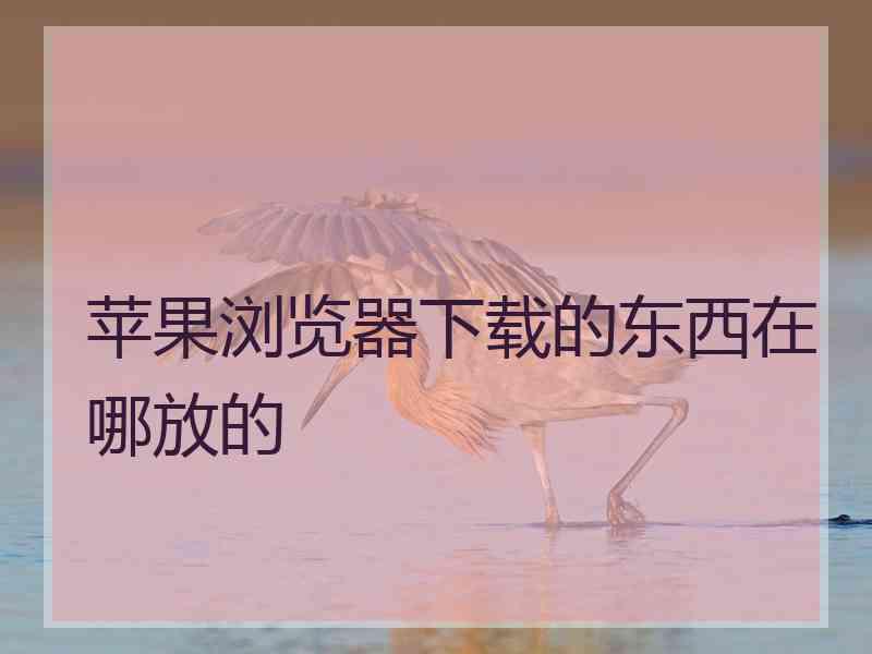 苹果浏览器下载的东西在哪放的