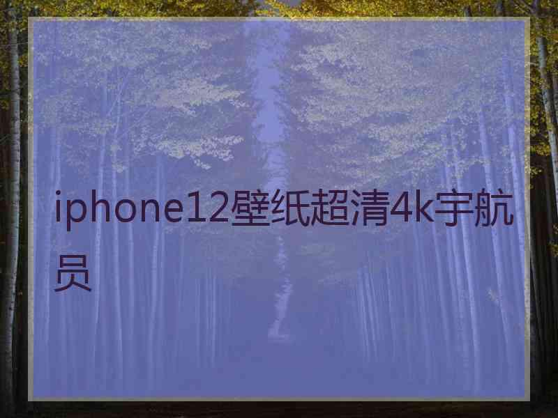 iphone12壁纸超清4k宇航员