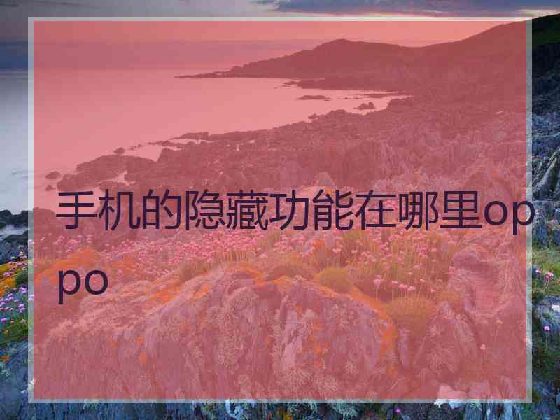 手机的隐藏功能在哪里oppo