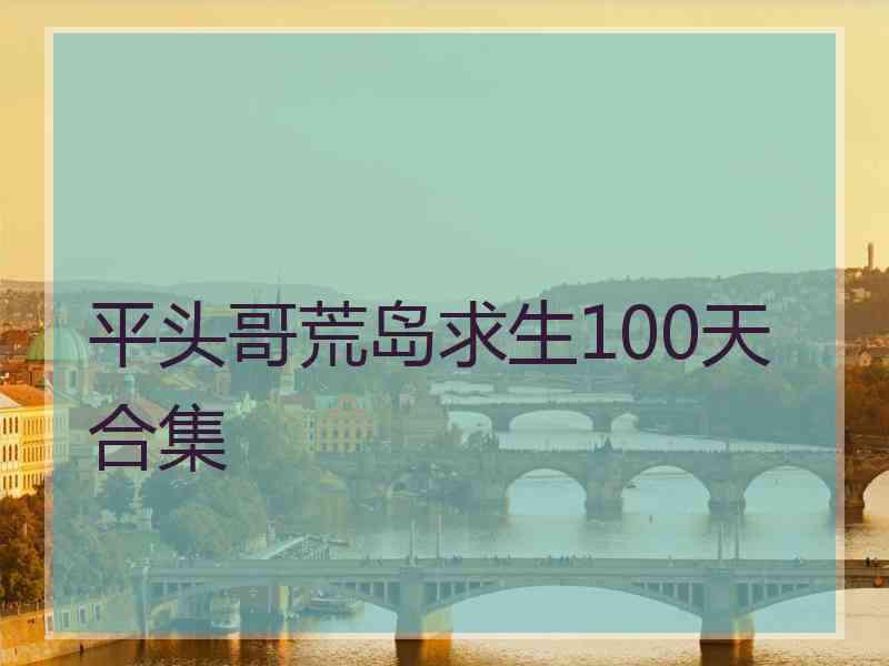 平头哥荒岛求生100天合集