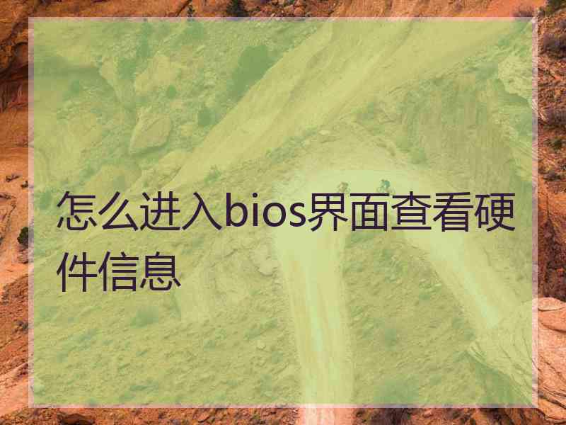 怎么进入bios界面查看硬件信息