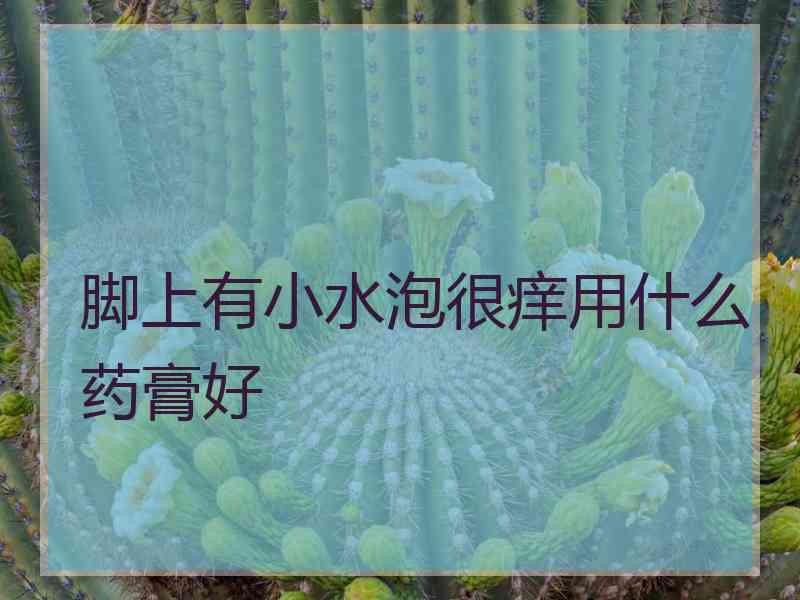 脚上有小水泡很痒用什么药膏好