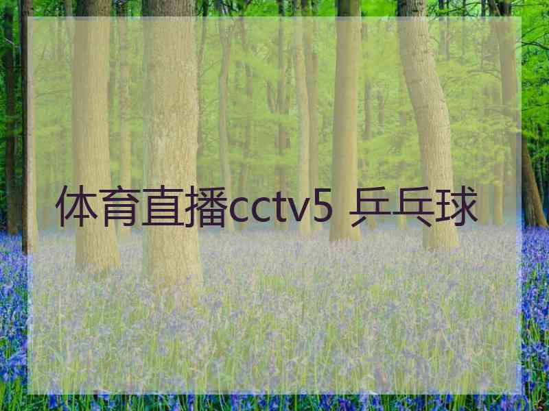 体育直播cctv5 乒乓球