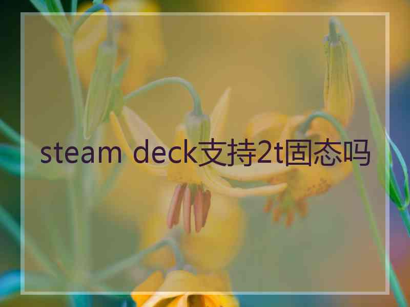 steam deck支持2t固态吗