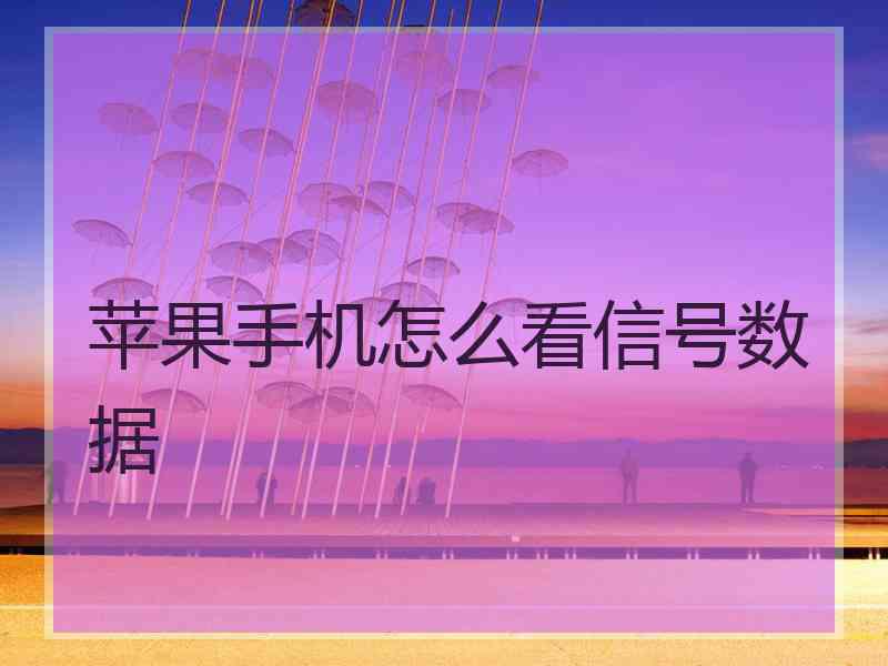 苹果手机怎么看信号数据