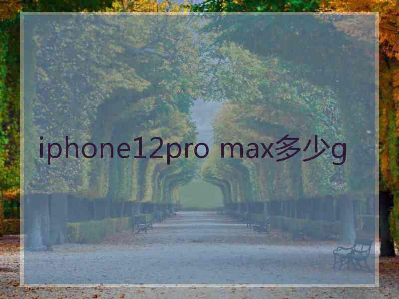 iphone12pro max多少g