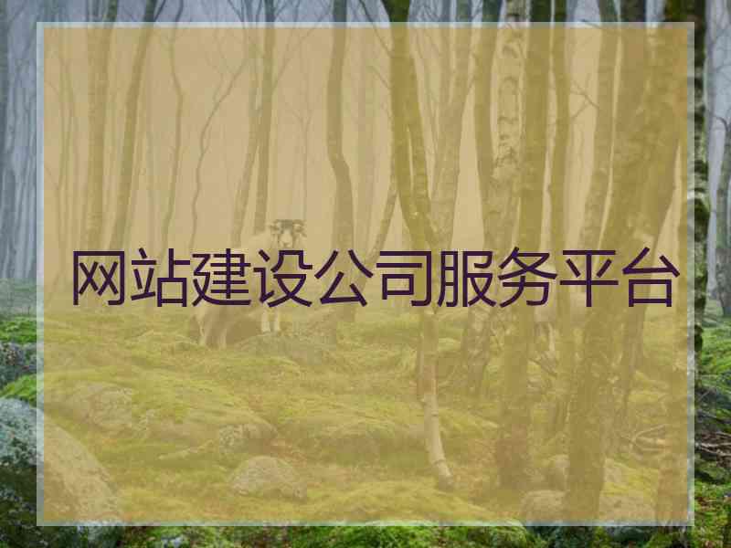 网站建设公司服务平台