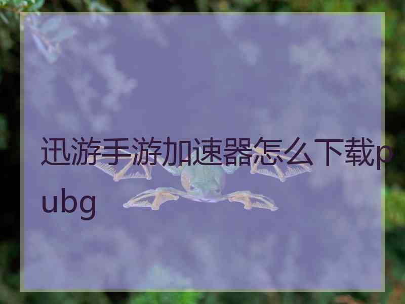 迅游手游加速器怎么下载pubg