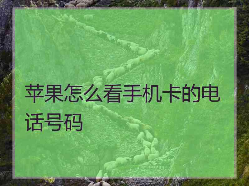 苹果怎么看手机卡的电话号码