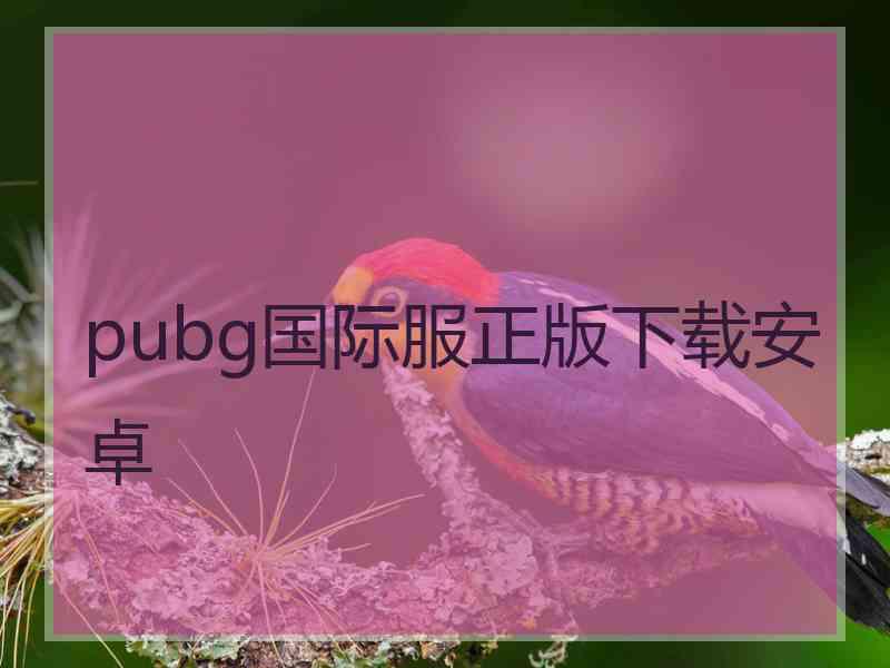 pubg国际服正版下载安卓