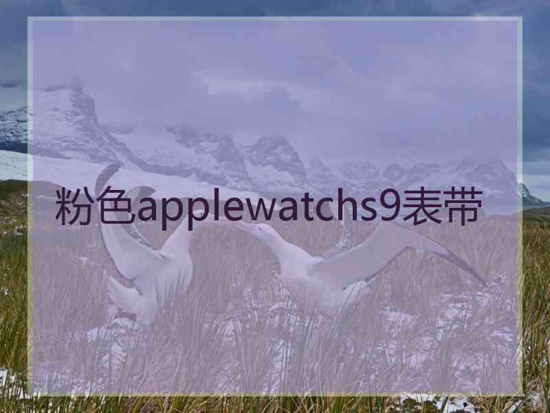 粉色applewatchs9表带