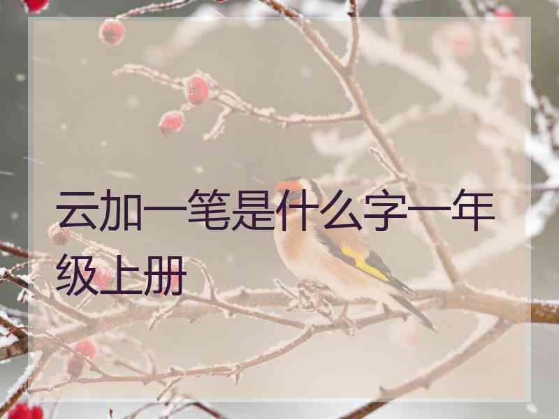 云加一笔是什么字一年级上册