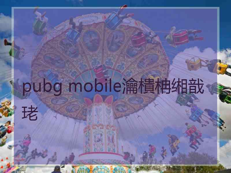 pubg mobile瀹樻柟缃戠珯