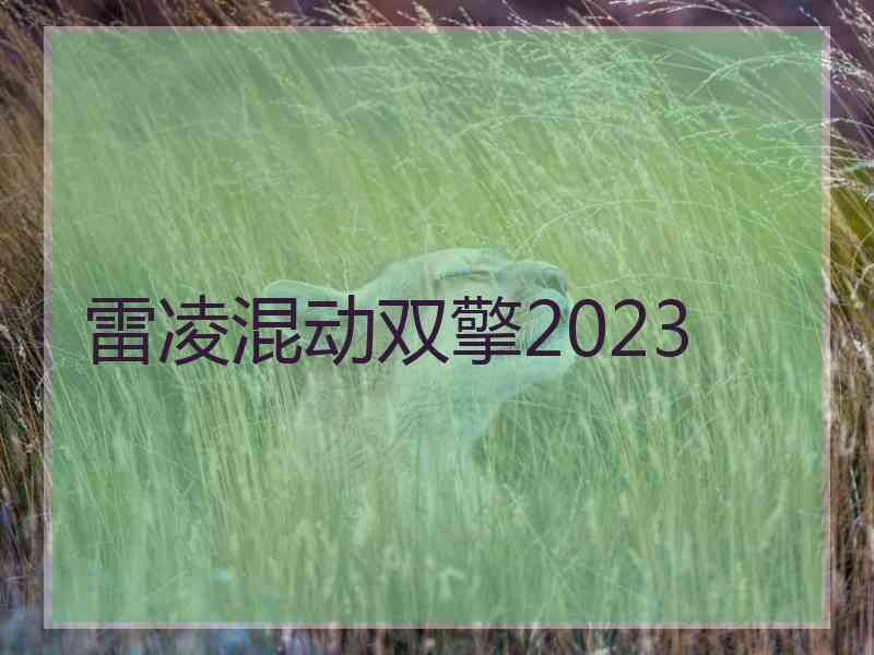 雷凌混动双擎2023