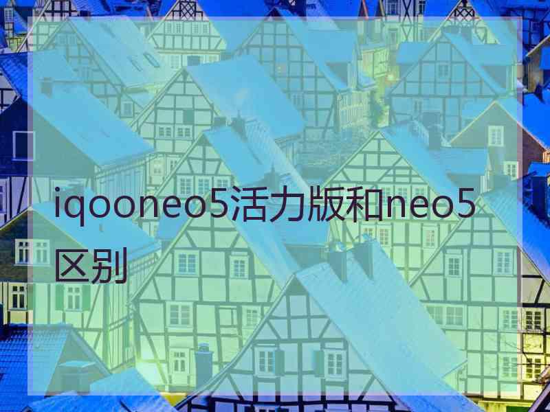 iqooneo5活力版和neo5区别