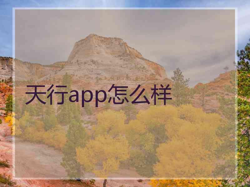 天行app怎么样