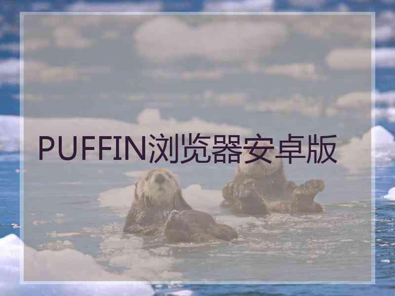 PUFFIN浏览器安卓版